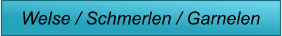 Welse / Schmerlen / Garnelen