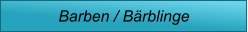 Barben / Bärblinge