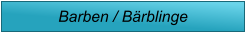 Barben / Bärblinge