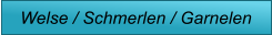 Welse / Schmerlen / Garnelen
