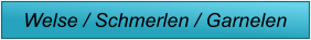 Welse / Schmerlen / Garnelen