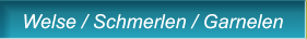 Welse / Schmerlen / Garnelen Welse / Schmerlen / Garnelen