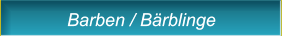 Barben / Bärblinge Barben / Bärblinge