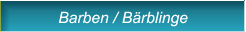 Barben / Bärblinge Barben / Bärblinge