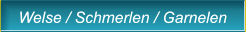 Welse / Schmerlen / Garnelen Welse / Schmerlen / Garnelen