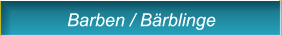 Barben / Bärblinge Barben / Bärblinge