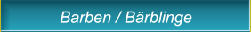 Barben / Bärblinge Barben / Bärblinge