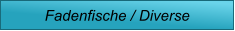 Fadenfische / Diverse