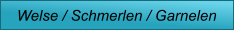Welse / Schmerlen / Garnelen