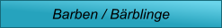Barben / Bärblinge
